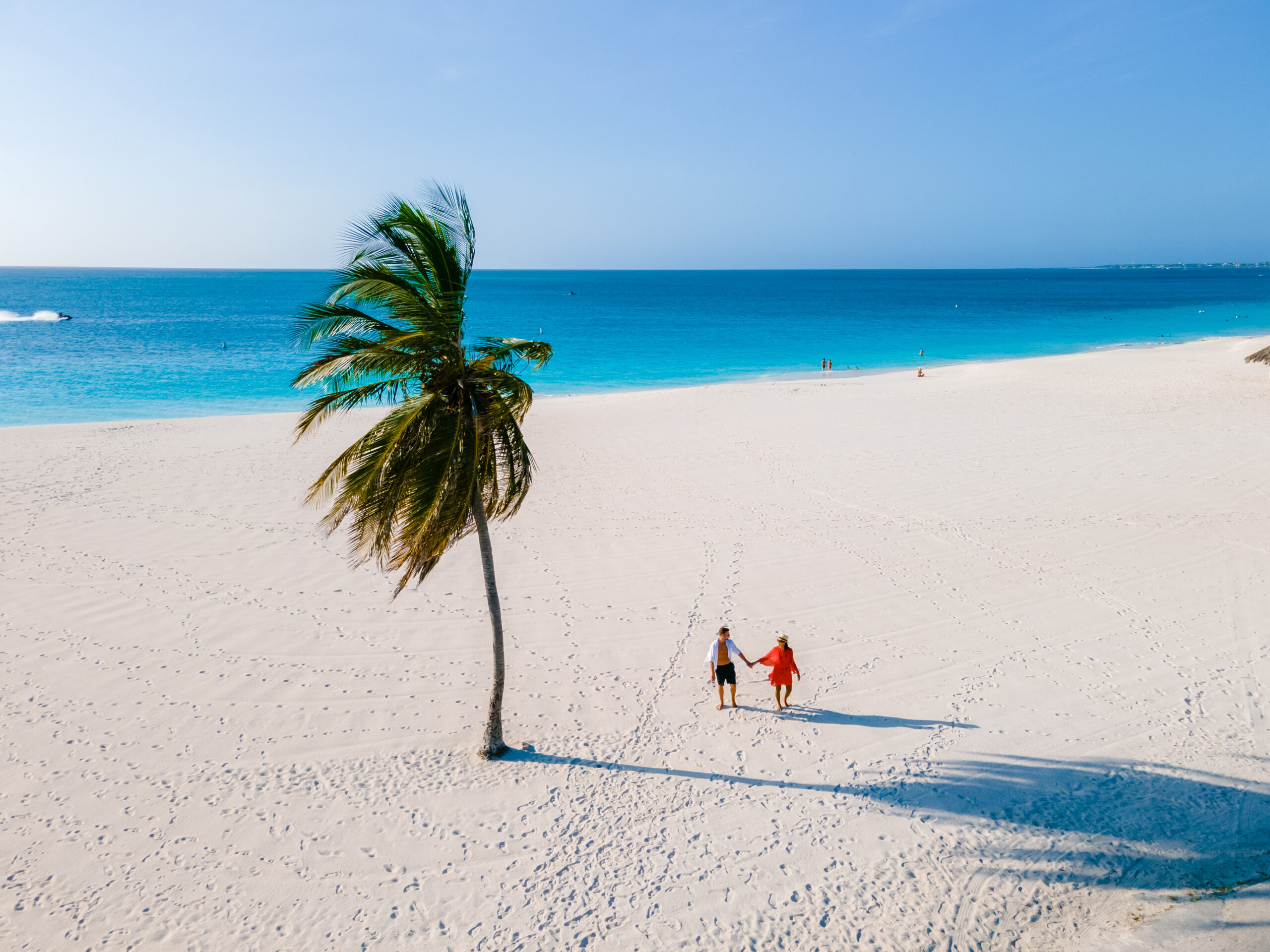 Eagle Beach Aruba, Palm Trees on the shoreline of Eagle Beach in Aruba, a couple of man, and woman on the beach of Aruba